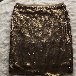 Bronze Sequins Skirt